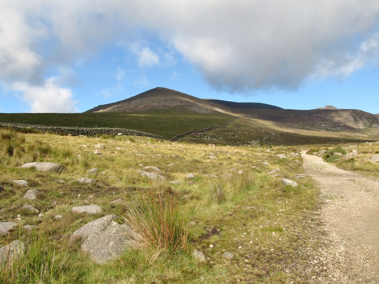 Slieve Binnian seen from near the Carrick Little Track mountain gate.