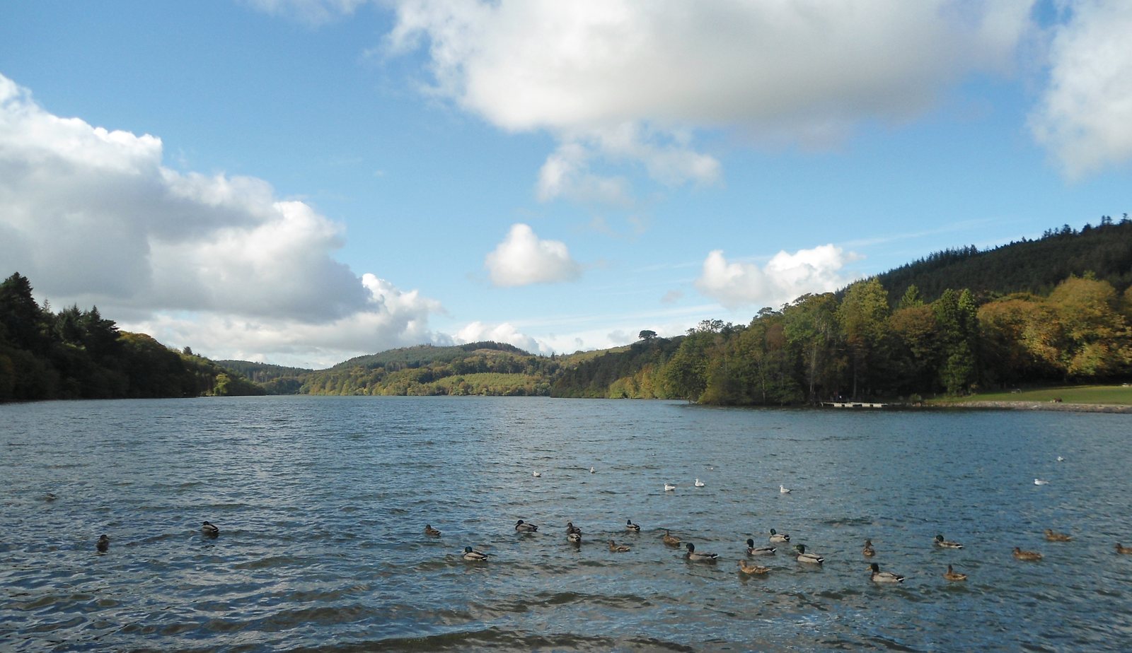 Castlewellan Lake. A historic photograph of the park; water levels and access may differ today.