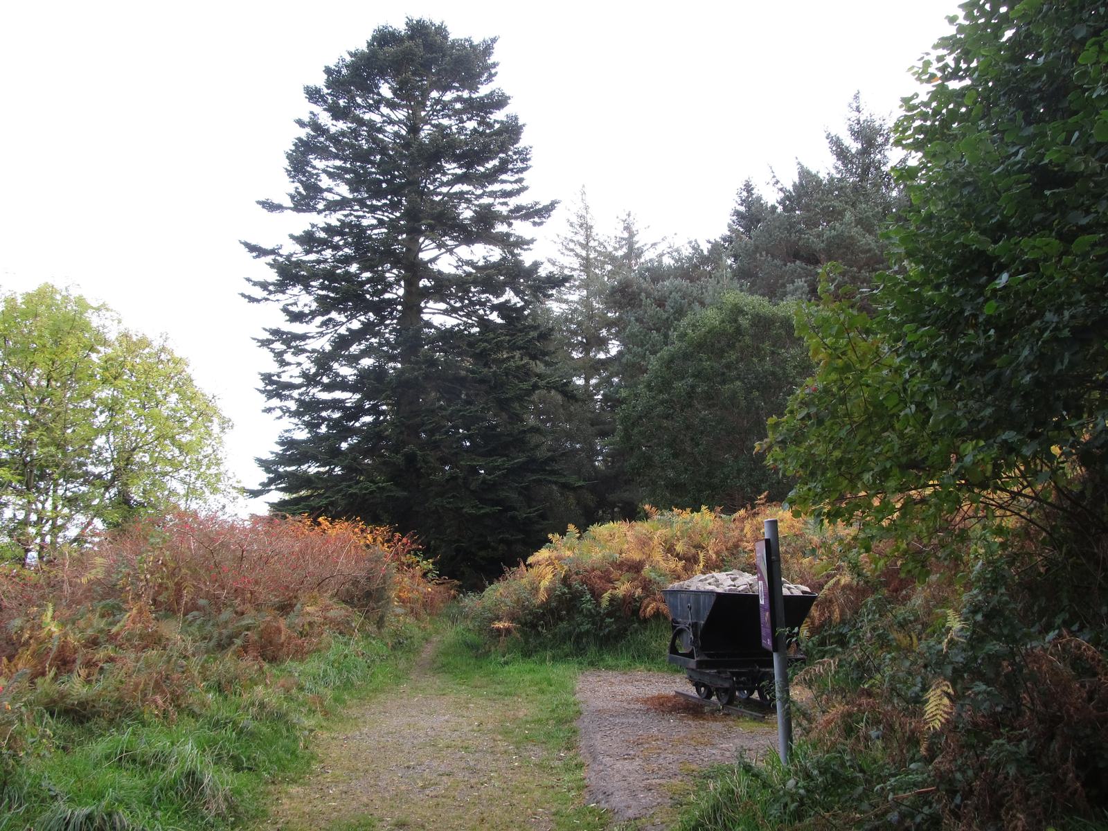 A quarry bogie on the Granite Trail