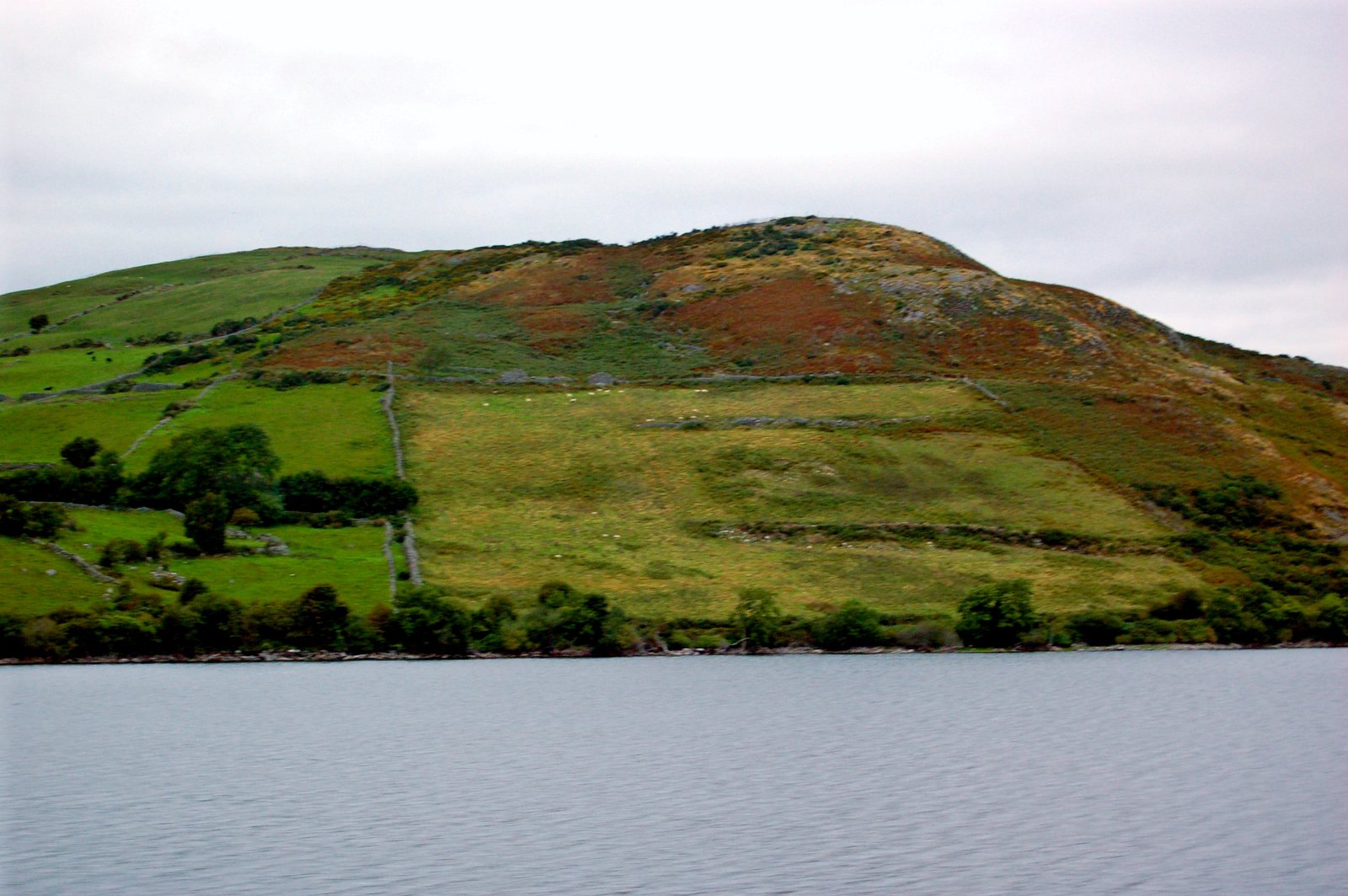 Lough Island Reavy